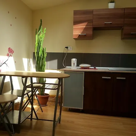 Apart & Hostel Guest Room Brendan Krakow